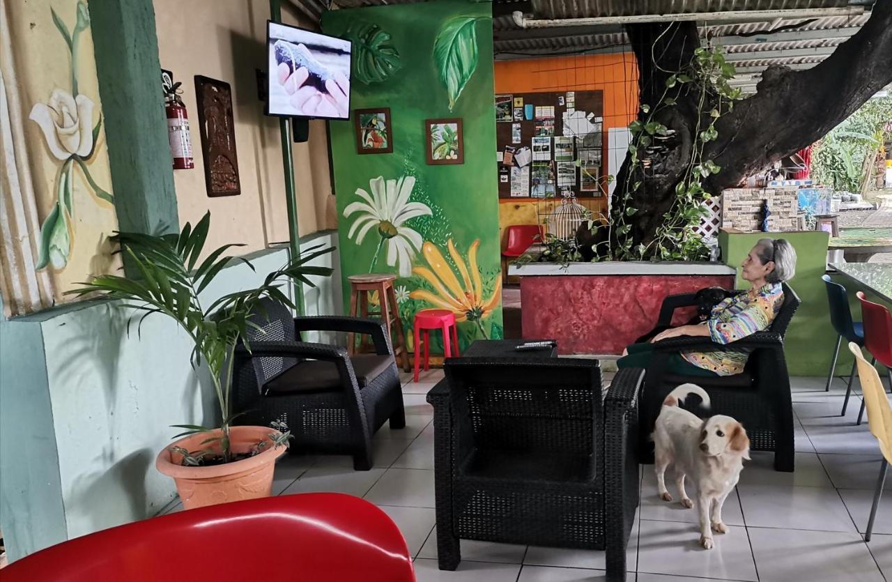Chambres En Ville David Ngoại thất bức ảnh