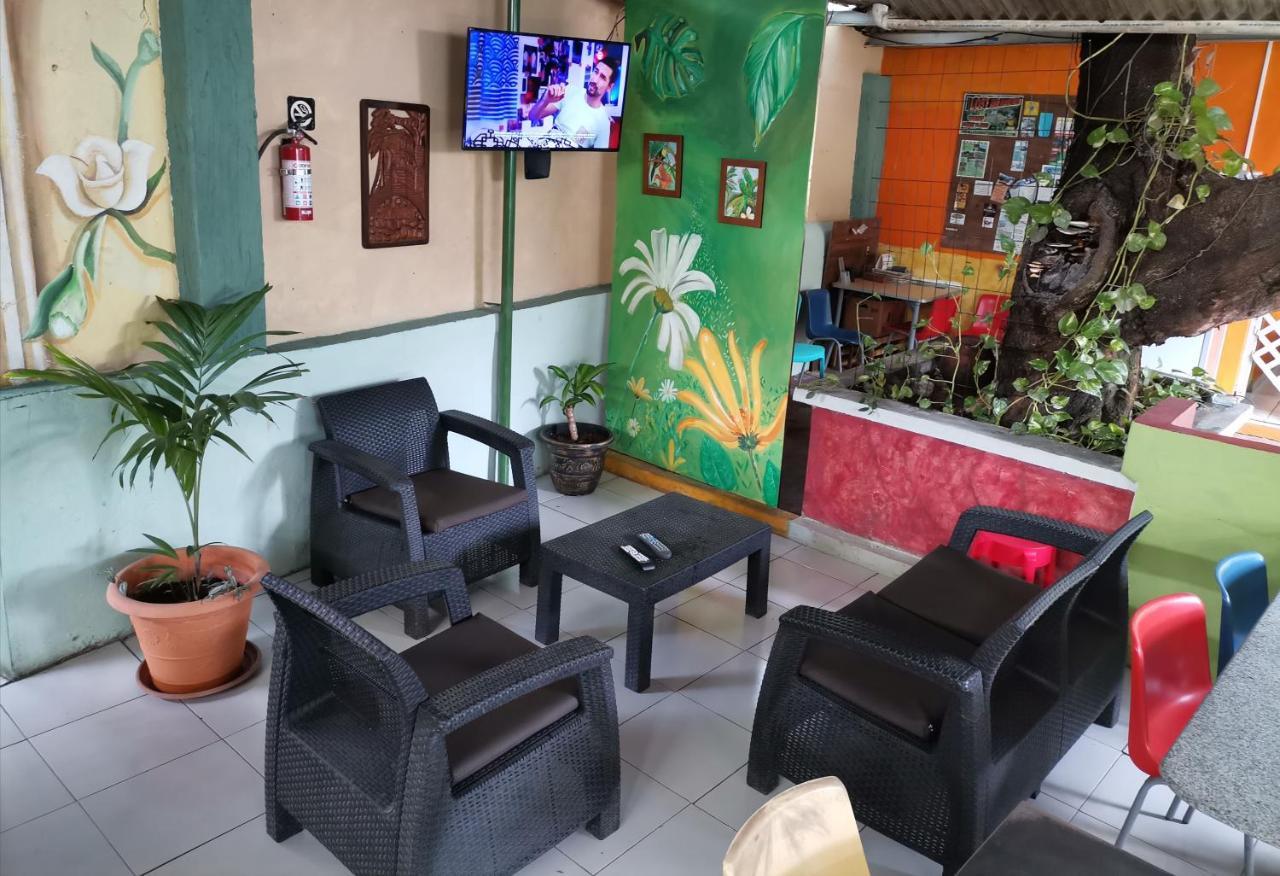 Chambres En Ville David Ngoại thất bức ảnh